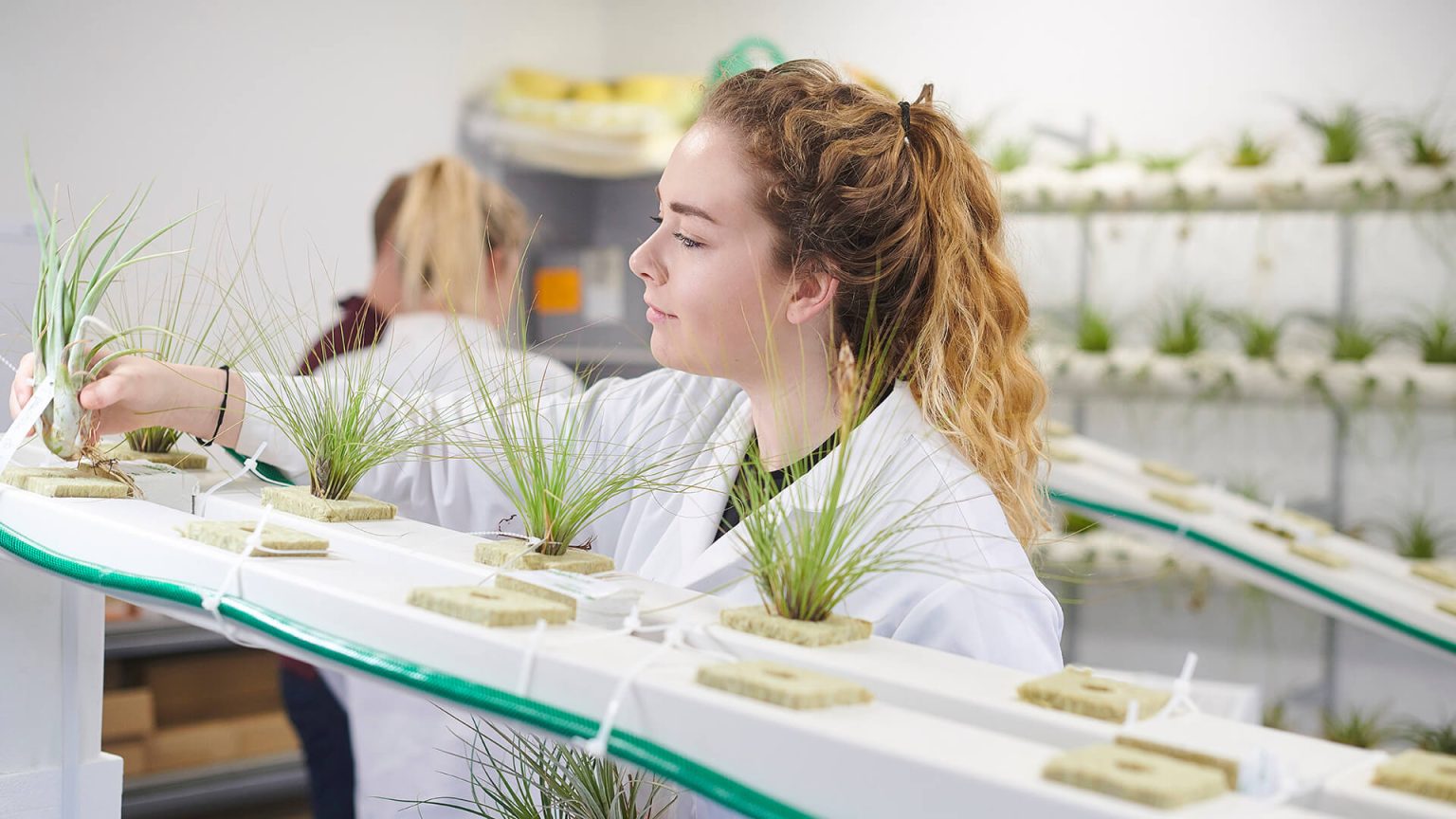 Plant Science Degree | BSc (Hons) | Edge Hill University