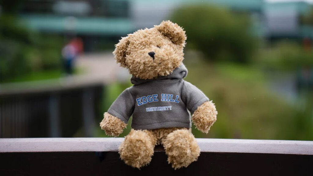 Edge Hill merchandise - a teddy bear wearing an Edge Hill University sweatshirt.