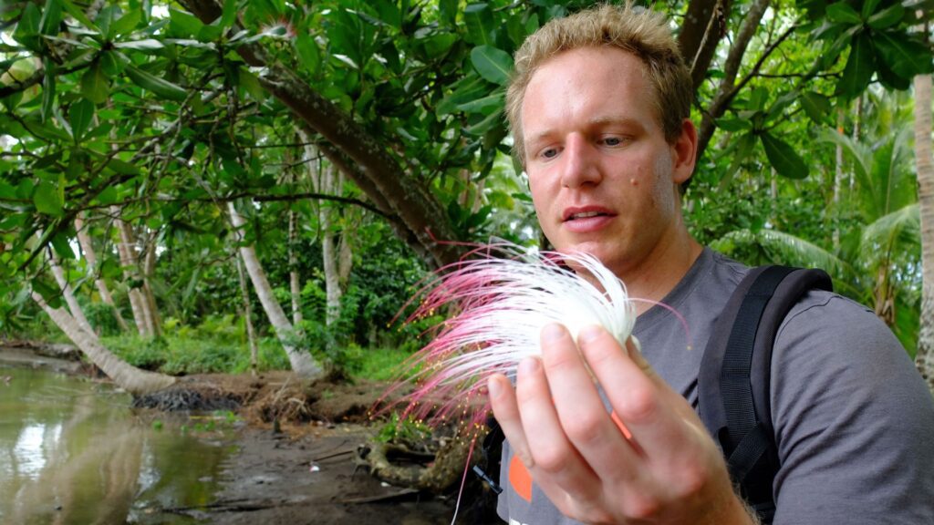 Dr Sven Batke stands in a forest holding an exotic plant.