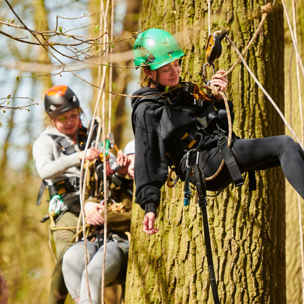 Students on canopy climbing module