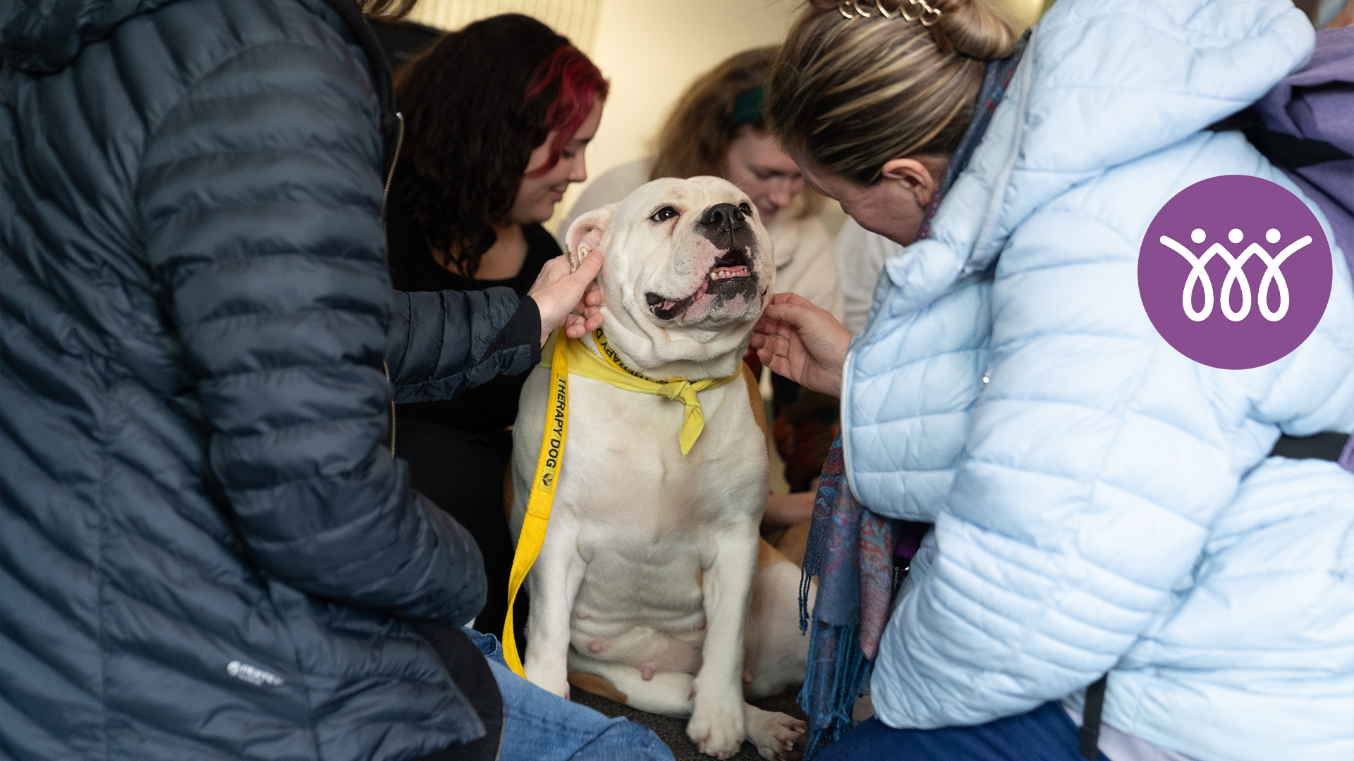 students cuddling the therapy dogs